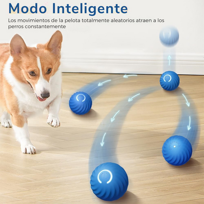 Pelota inteligente para perros